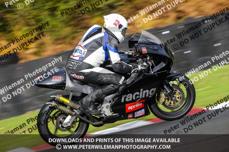 anglesey;brands hatch;cadwell park;croft;donington park;enduro digital images;event digital images;eventdigitalimages;mallory;no limits;oulton park;peter wileman photography;racing digital images;silverstone;snetterton;trackday digital images;trackday photos;vmcc banbury run;welsh 2 day enduro